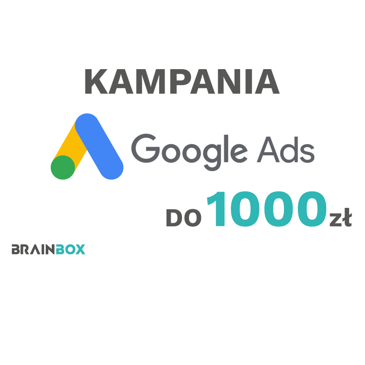 Kampania Google Ads do 1000 zł