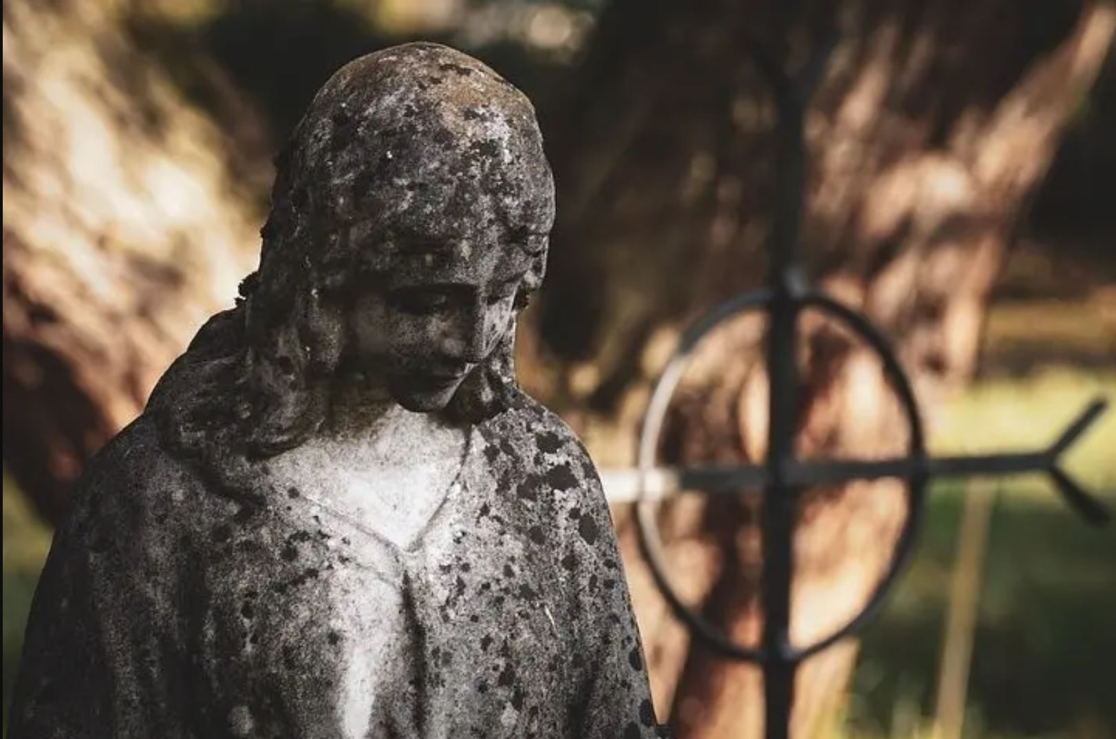 organizacja pogrzebu