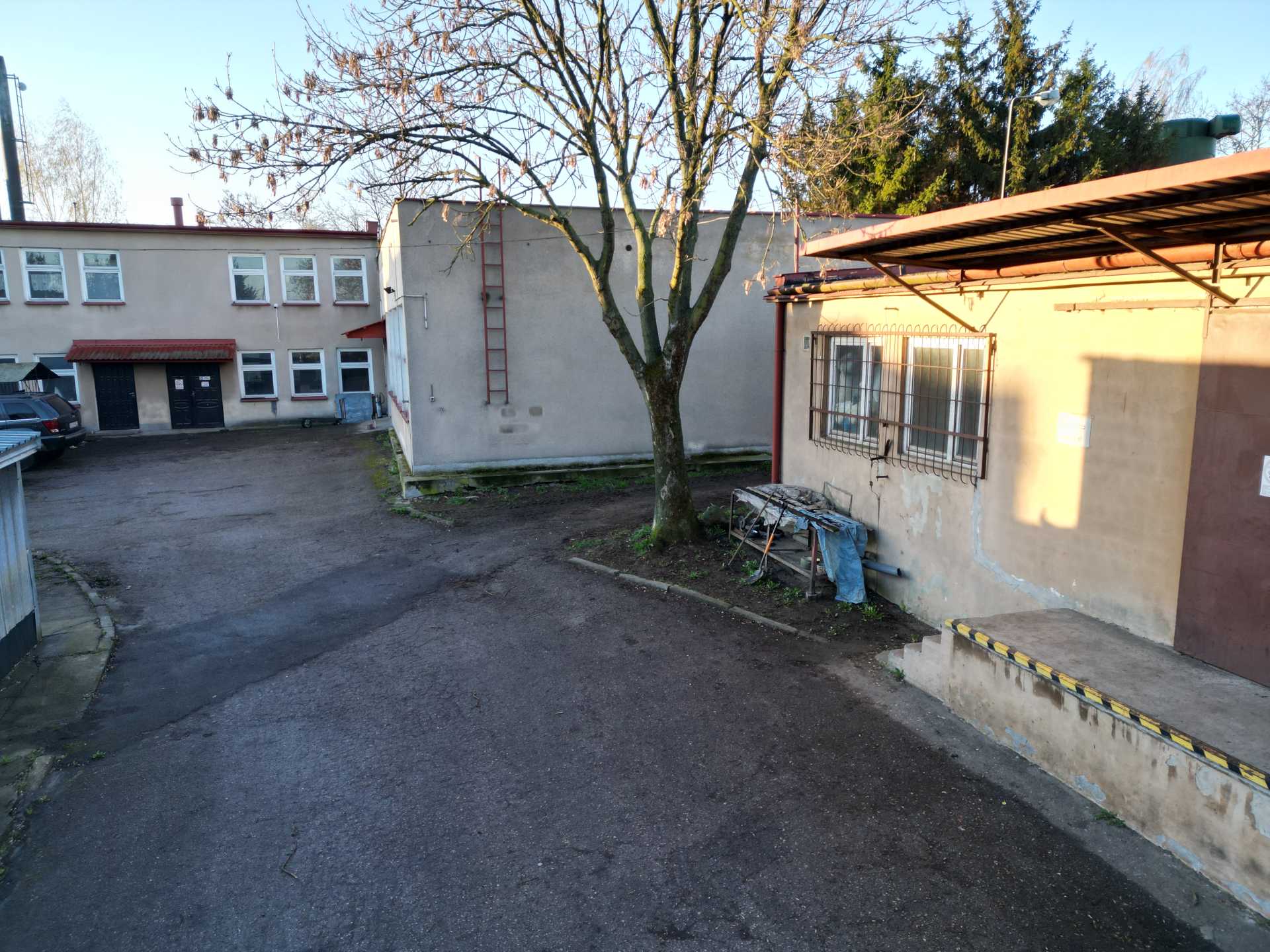 producent tanich trumien