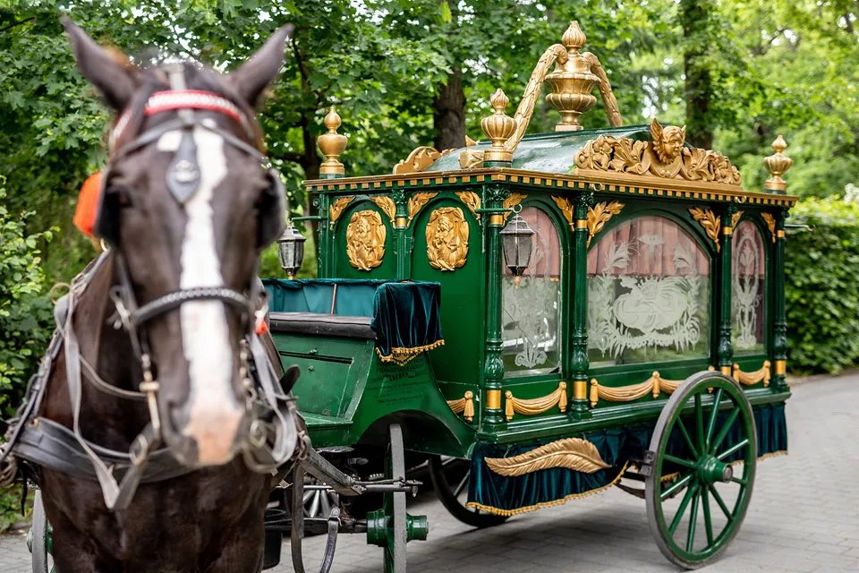 karawan konny firmy Archon