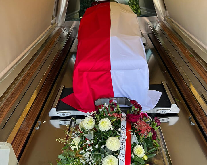sprowadzenie Polaków z zagranicy do kraju