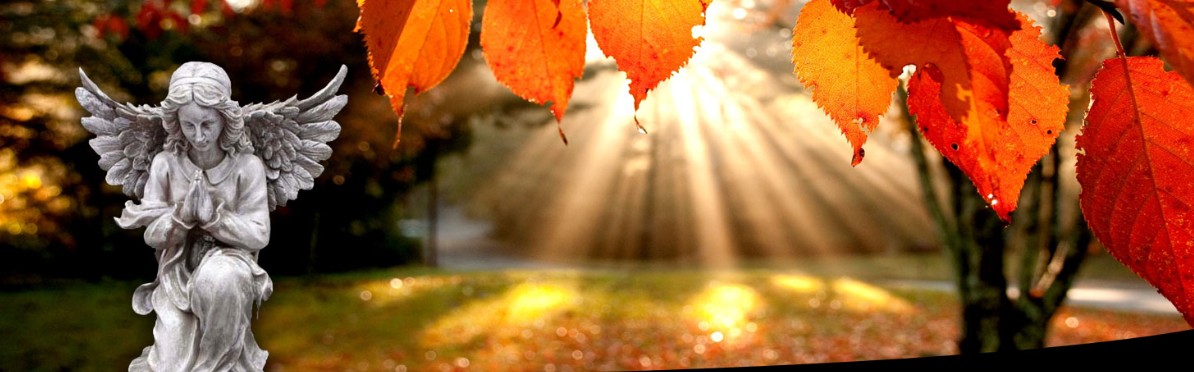 tanie pogrzeby zakładu pogrzebowego w Tomaszowie Mazowieckim