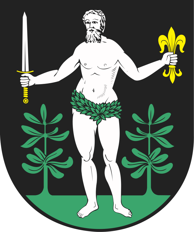 herb Nidzica