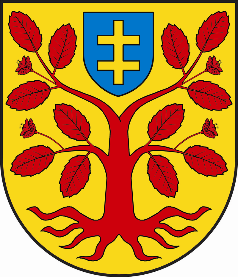 herb Zbuczyn
