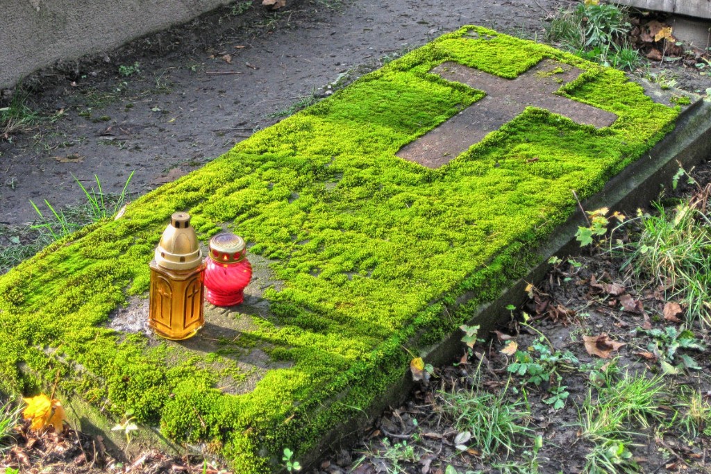 kiedy za pogrzeb płaci opieka społeczna