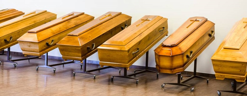 polski producent trumien