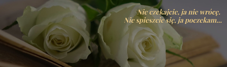 o firmie Sacramentum