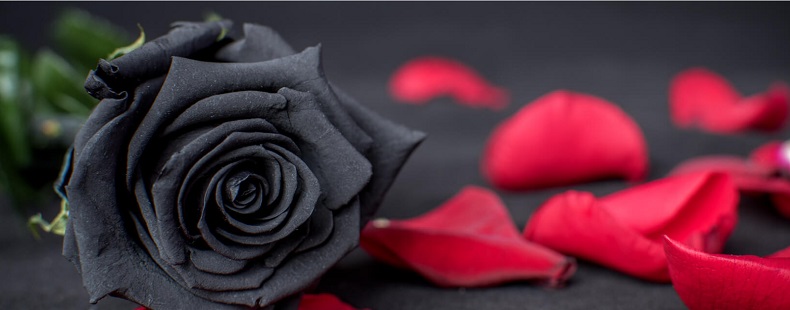 usługi pogrzebowe w bydgoszczy